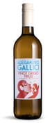 Pinot Grigio Alessandro Gallici